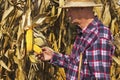 Farmer check corn plant