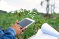 Farmer check list on clip board and use tablet for check quality of Cassava in plantation farm.