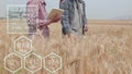 Farmer checking data in a wheat field with a tablet and examnination crop