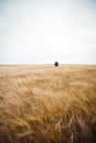 Farmer checking his crops Royalty Free Stock Photo