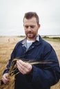 Farmer checking his crops in the field Royalty Free Stock Photo