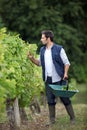 Farmer checking his grapes. Royalty Free Stock Photo