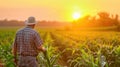 Farmer checking the quality of his corn field at the sunset Royalty Free Stock Photo