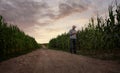 Farmer checking the quality of his corn field Royalty Free Stock Photo