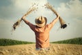 Farmer checks the wheat grain in the field Royalty Free Stock Photo