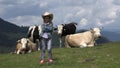 Farmer Child Pasturing Cows, Cowherd Girl with Cattle on Meadow in Mountains 4K