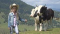 Farmer Child Pasturing Cows, Cowherd Kid with Cattle on Meadow Girl in Mountains Royalty Free Stock Photo