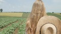 Farmer Child in Sunflower Field, Girl, Kid Studying, Walking in Agrarian Harvest Royalty Free Stock Photo