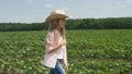 Farmer Child in Sunflower Field, Girl, Kid Studying, Walking in Agrarian Harvest Royalty Free Stock Photo