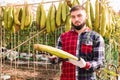 Farmer cleans dried angled luffa in the backyard of the farm