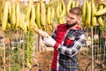 Farmer cleans dried angled luffa in the backyard of the farm