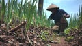 Farmer is clearing the grass that disturbs his crops