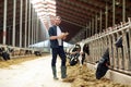 Farmer with clipboard and cows in cowshed on farm