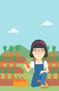 Farmer collecting carrots vector illustration.