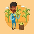 Farmer collecting corn vector illustration.