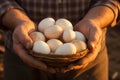 Farmer Collecting Fresh Eggs from Farm . Ai Royalty Free Stock Photo