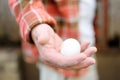 Farmer collecting fresh organic eggs on chicken farm. Close-up of a hand holding an egg. Floor cage free chickens is trend of Royalty Free Stock Photo