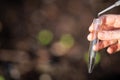 farmer collecting soil samples in a test tube in a field. Agronomist checking soil carbon and plant health on a farm. soil science Royalty Free Stock Photo