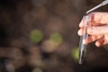 farmer collecting soil samples in a test tube in a field. Agronomist checking soil carbon and plant health on a farm. soil science Royalty Free Stock Photo