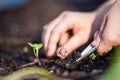 farmer collecting soil samples in a test tube in a field. Agronomist checking soil carbon and plant health on a farm. soil science Royalty Free Stock Photo