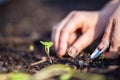 farmer collecting soil samples in a test tube in a field. Agronomist checking soil carbon and plant health on a farm. soil science Royalty Free Stock Photo