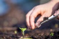 farmer collecting soil samples in a test tube in a field. Agronomist checking soil carbon and plant health on a farm. soil science Royalty Free Stock Photo