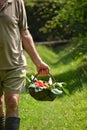 Farmer collecting tomato Royalty Free Stock Photo