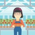 Farmer collecting tomatos vector illustration. Royalty Free Stock Photo