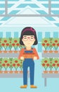 Farmer collecting tomatos vector illustration. Royalty Free Stock Photo