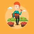 Farmer collecting tomatos vector illustration. Royalty Free Stock Photo