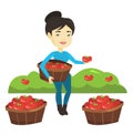 Farmer collecting tomatos vector illustration. Royalty Free Stock Photo