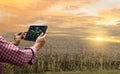 Farmer control tablet technology future tree care and tree planting drought global Royalty Free Stock Photo