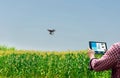 Farmer control unmanned aircraft Dorn Corn agricultural automation,digital farming Royalty Free Stock Photo