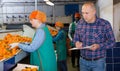 farmer controlling grading and packing of mandarin oranges performing by female workers Royalty Free Stock Photo