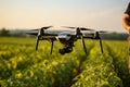 Farmer controls drone. Smart farming and agriculture