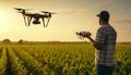 A farmer controls a quadcopter drone in a green corn field. Innovation in agriculture Royalty Free Stock Photo