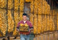 Farmer with corn cobs Royalty Free Stock Photo