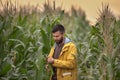 Farmer in corn field Royalty Free Stock Photo