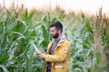 Farmer in corn field Royalty Free Stock Photo