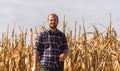 farmer in corn fields Royalty Free Stock Photo