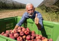 Farmer with crate full of apples in modern orchard
