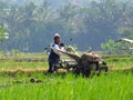 A FARMER cultivating a field with a modern plow before the planting season arrives in the rice fields around Rawa Pening