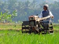 A FARMER cultivating a field with a modern plow before the planting season arrives in the rice fields around Rawa Pening