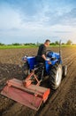 A farmer is cultivating a field before replanting seedlings. Milling soil. Softening the soil and improving its qualities. Farming