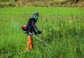 Farmer cutting grass by lawn mower.Man mowing grass by brushcutter Royalty Free Stock Photo