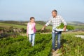 Farmer With Daughter Harvesting Organic Carrot Crop On Farm Royalty Free Stock Photo