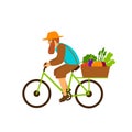 Farmer delivers fresh organic vegetables products riding a bike Royalty Free Stock Photo