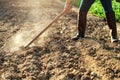 farmer dig soil for planting vegetable