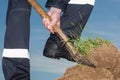 Farmer digging a garden Royalty Free Stock Photo