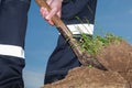 Farmer digging a garden Royalty Free Stock Photo